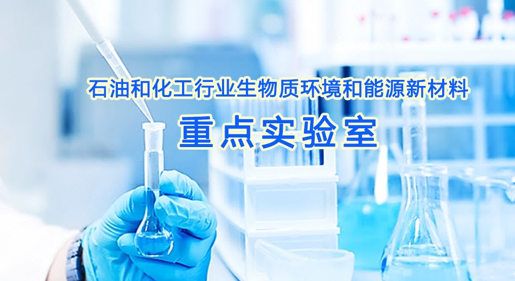 武工大获批石化行业重点实验室