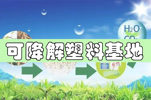 河南将建省内最大可降解塑料基地