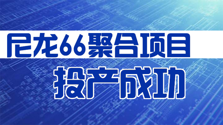 新力新材“尼龙66聚合项目”正式投产成功