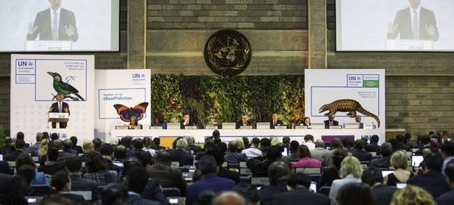 联合国环境大会：建立首个应对塑料污染的全球条约