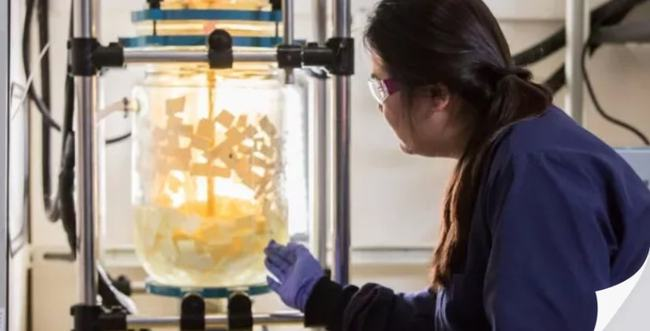 美国Novoloop公司宣布最新废塑料化学回收计划