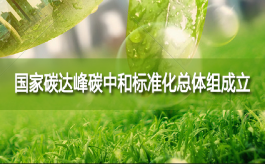 国家碳达峰碳中和标准化总体组成立