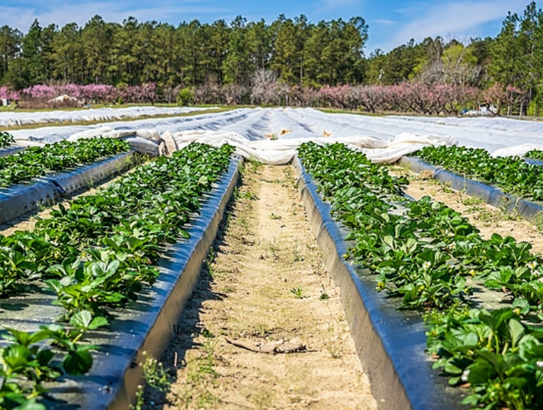 利安德巴塞尔与AFA Nord合资成立新公司，促进二次塑料包装的循环利用